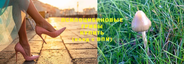 спиды Кинешма