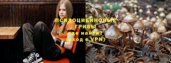 спиды Кинешма