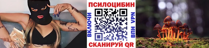 наркота  Короча  Псилоцибиновые грибы мицелий 